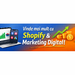 Creare site shopify + integrare, digital marketing , campanii platite